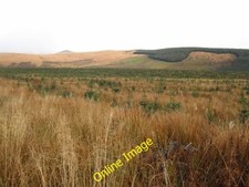 Photo 6x4 Felled and replanted area, Ae Forest Glass Rig Since I was last c2012