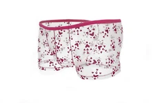 ZONBAILON Men's Underwear Transparent Mesh Sexy See-through Ultra-thin Boxer