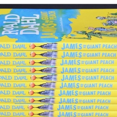 James And The Giant Peach Reading Group 6 Book Set 