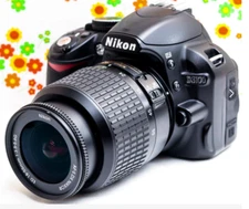 Nikon D310
