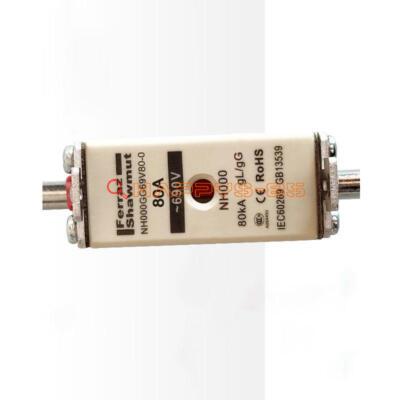 1PCS Ferraz Shawmut Sicherung 80A 690V NH000GG69V80 Neu