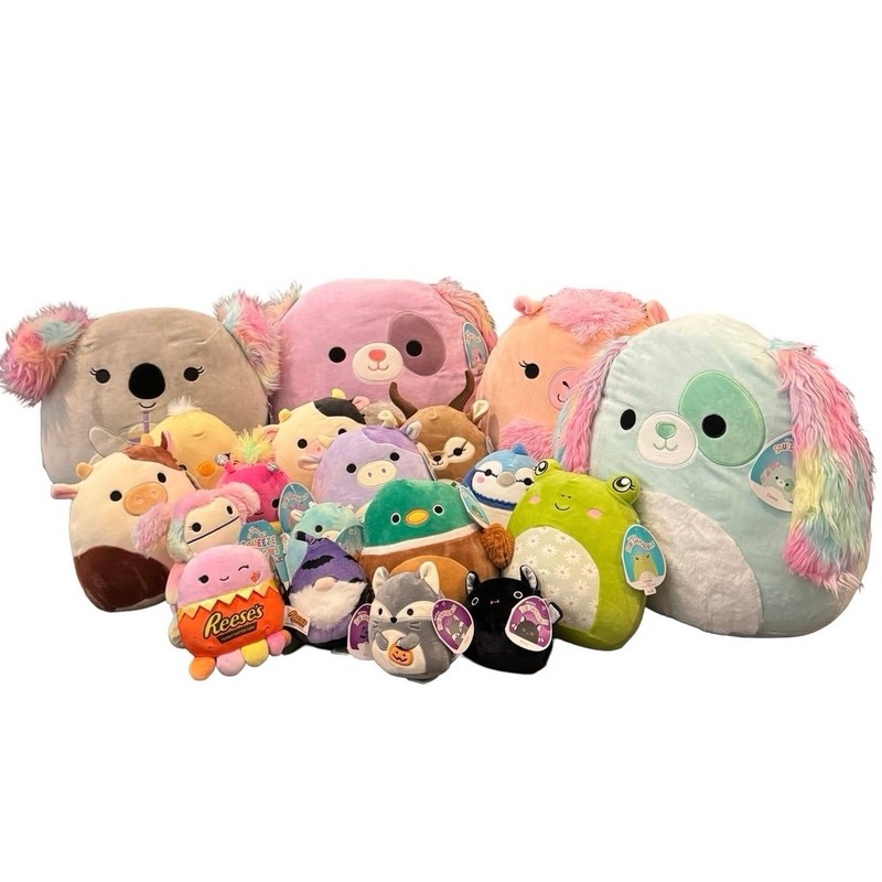 Lot of 19 Squishmallow Plush Bundle stuff animals Koala Fox Dog Cow duck cat