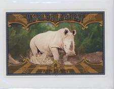 2021 Topps Allen & Ginter's World's Largest Boxloaders White Rhino #WLB-8 6k2
