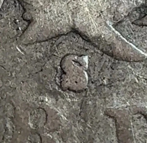 1877-s (S/Horiz S, FS-501) ~ Seated Liberty 25c ~ Nice Example ~ Rare Variety!