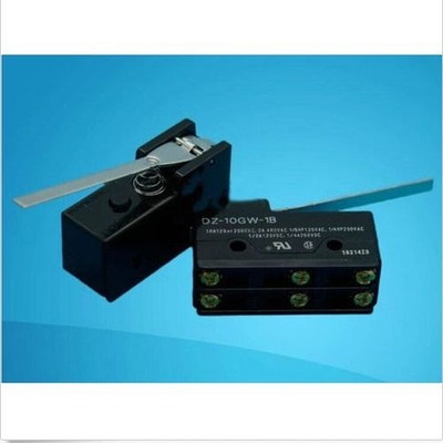 DZ-10GW-1B DZ 10GW 1B New   Micro switch New in box    #za