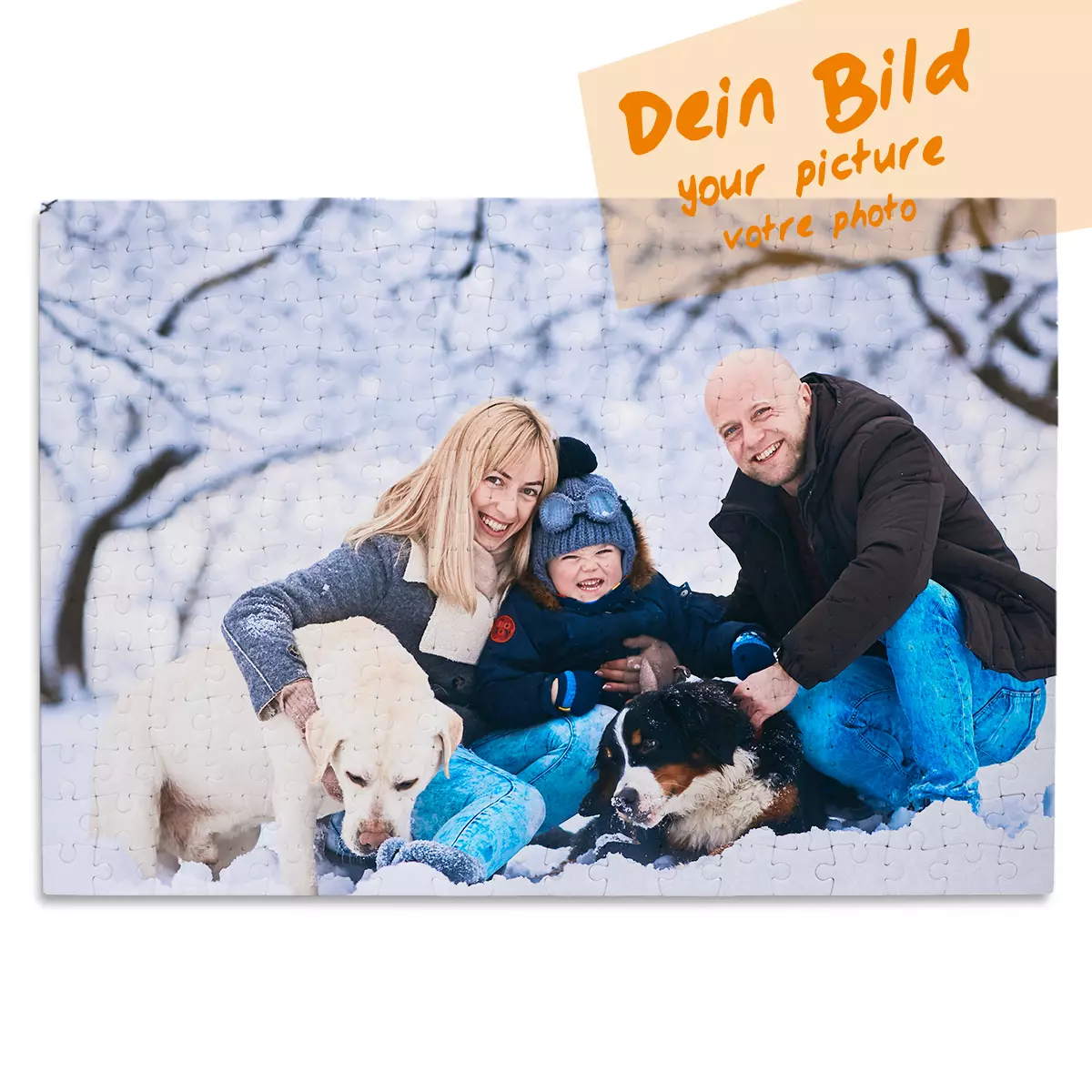Bild 1 von 7