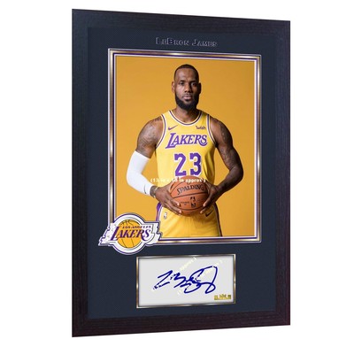lebron signature