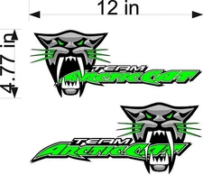 Arctic Cat Team ROAR / PAIR / 12" GREEN Vinyl Vehicle Snowmobile Graphic Decals