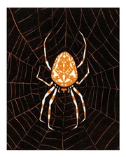 Stylish Spider Web Poster Wall Art for Modern Decor Premium Quality