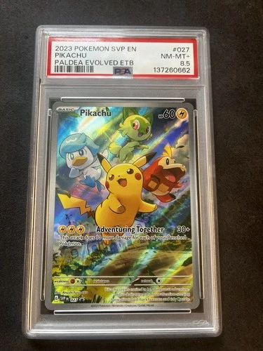 Pokémon TCG Pikachu 027 Promo Holo Black Star Paldea Evolved PSA 8.5