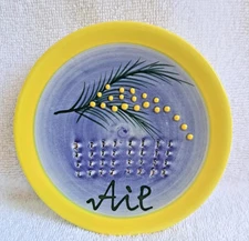 Ceramic Grater for  Garlic, Ginger, Lemon- Hand Painted & Hand Made *New 5" Wide