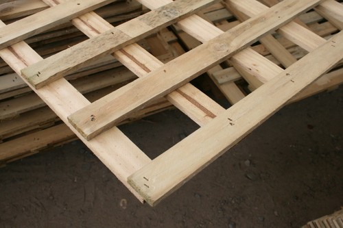 Treated Pine Trellis - 2400 x 900 x 40mm - - Picture 7 of 8