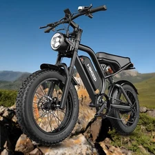Hikeep 1000W Peak Electric Bike 20in Fat Tire Mountain ebike 48V 13Ah for Adults