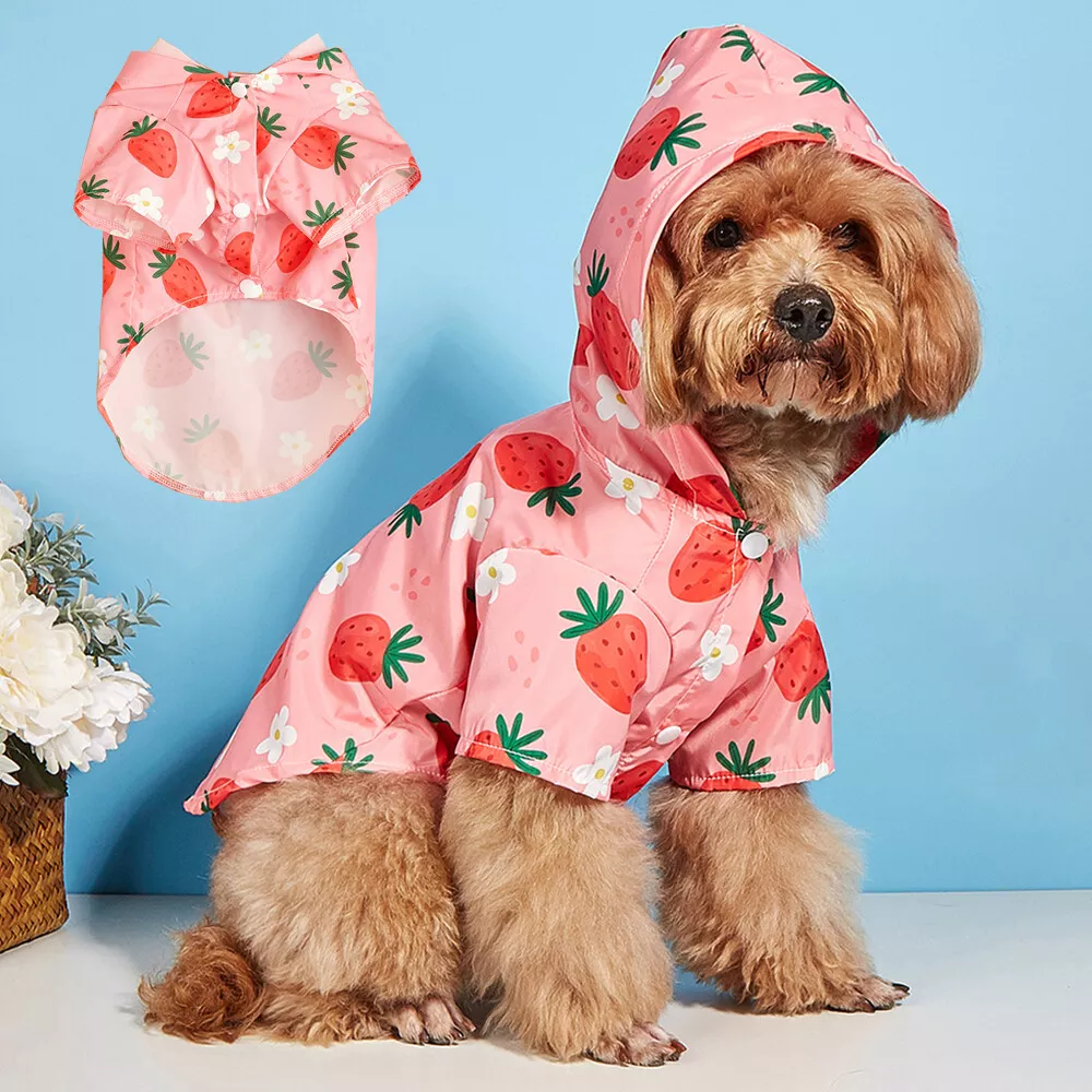 Louis vuitton dog raincoat 2025