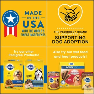 pedigree adult complete nutrition grilled steak & vegetable flavor dry dog food