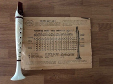 Flutophone with instructions