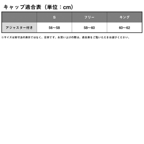 DAIWA Cold Weather Hat 24DC-6224W Gray - Picture 4 of 4