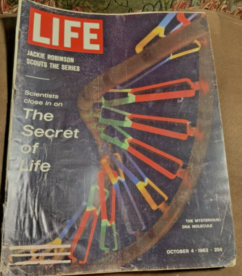 Life Magazine October 4 1963 Jackie Robinson Scouts The Mysterious DNA Molecule