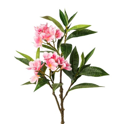 Künstlicher Frangipani-Zweig, Farbe rosa, Höhe ca. 110 cm