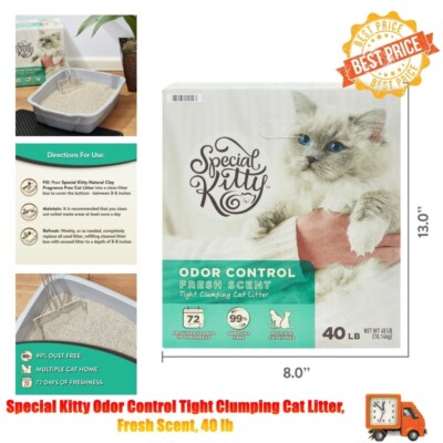 Special Kitty Odor Control Tight Clumping Cat Litter, Fresh Scent, 40 lb