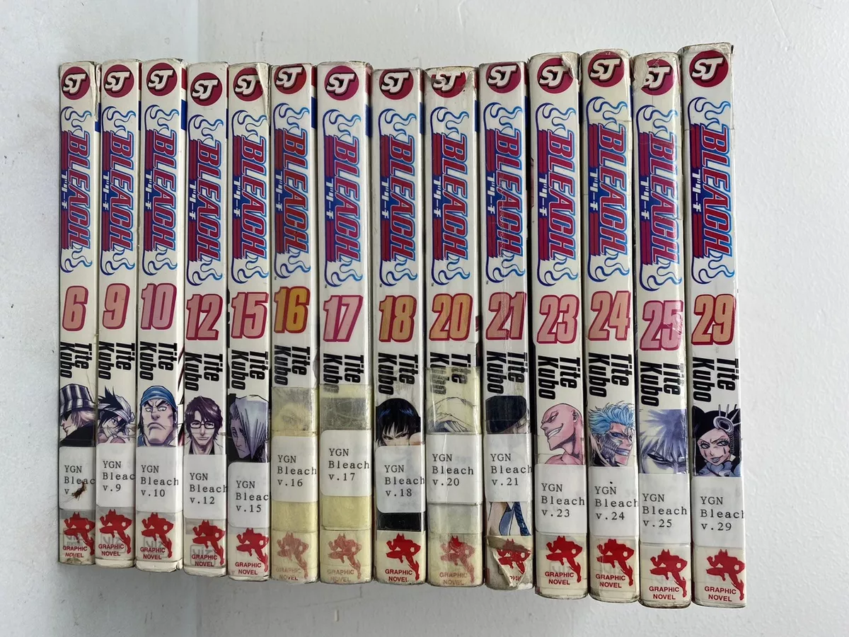 BLEACH Manga Volume 10