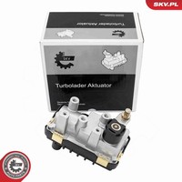 Esen SKV Ladedruckregelventil 95SKV460 FüR Mercedes Klasse W164 W251 V251 W211 3