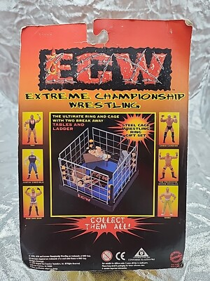 Shane Douglas The Franchise with chair ECW Extreme Championship