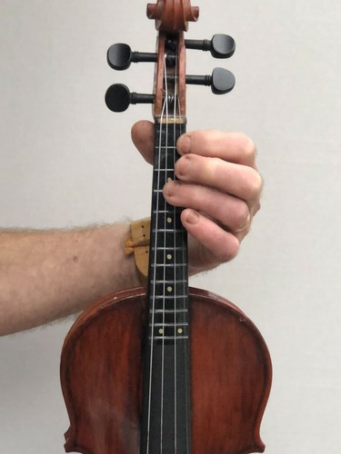 cello with frets