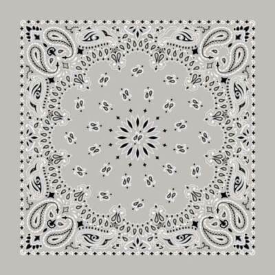 Hav-A-Hank USA Made 100% Cotton Paisley Bandannas Bandanas 22