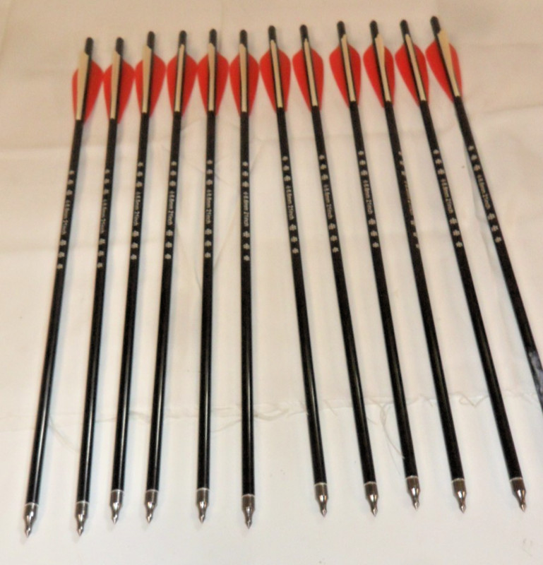 One Dozen Archery Carbon Arrows