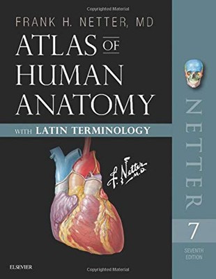 ATLAS OF HUMAN ANATOMY: LATIN TERMINOLOGY: ENGLISH AND By Netter Frank H. Md