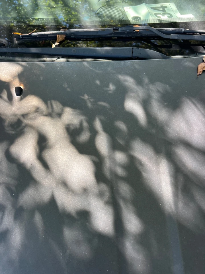 Chrysler Town & Country 2011-2016 OEM capó delantero tapa panel conjunto PXJ Foto 3 de 4