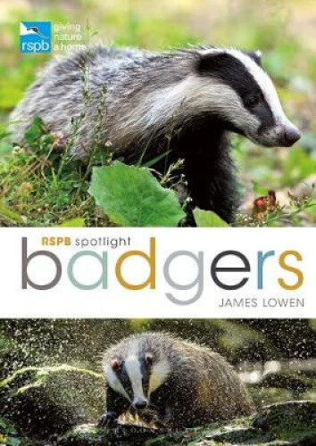 Thumbnail - Rspb Spotlight: Badgers By Lowen, James