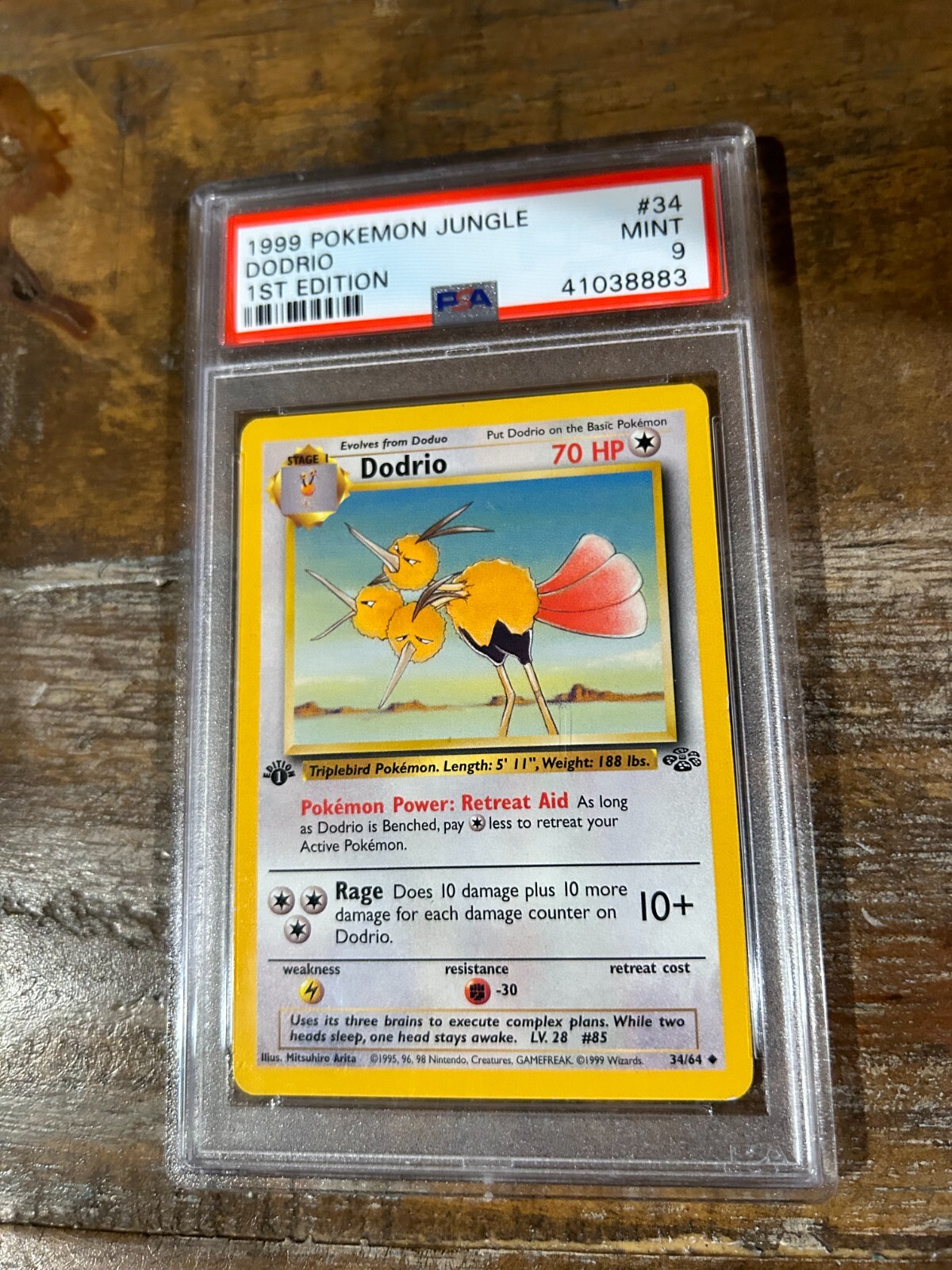 Pokemon 1999 Jungle DODRIO 1ST Edition #34 PSA 9 Mint RARE