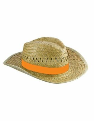 Printwear Hutband Elastisches Hutband Hüte One Size C2071