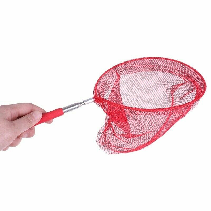 Lot de 4 filets de pêche, épuisettes pour enfants, filets de pêche en plastique, outils de printemps, filet papillon, épuisette épuisette papillon, filets de capture d'insectes pour insectes, poissons Lot de 4 filets de pêche, épuisettes pour enfants, filets de pêche en plastique, outils de printemps, filet papillon, épuisette épuisette papillon, filets de capture d'insectes pour insectes, poissons