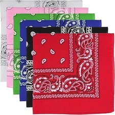 6-Pack Large Cotton Bandana for Men and Women - Paisley 22x22"  Red Black Purple