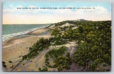 Sand Dunes - Indiana Dunes State Park - Lake Michigan Linen Postcard E