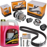 Contitech ZAHNRIEMEN-SATZ + Wasserpumpe FüR Audi A3 A4 A6 VW Golf 5 Passat 3C