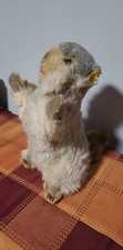 Steiff Marmot Stuffed Animal Plush Toy Collectible with Yellow Ear Tag