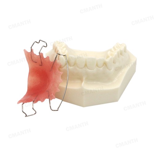 Modello dentale Hawley la struttura del fermo dentista insegna igiene orale modello - Foto 5 di 8
