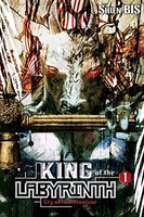 Shien Bis - King Of The Labyrinth Vol. 1 Light Novel - Hardback - G245Z