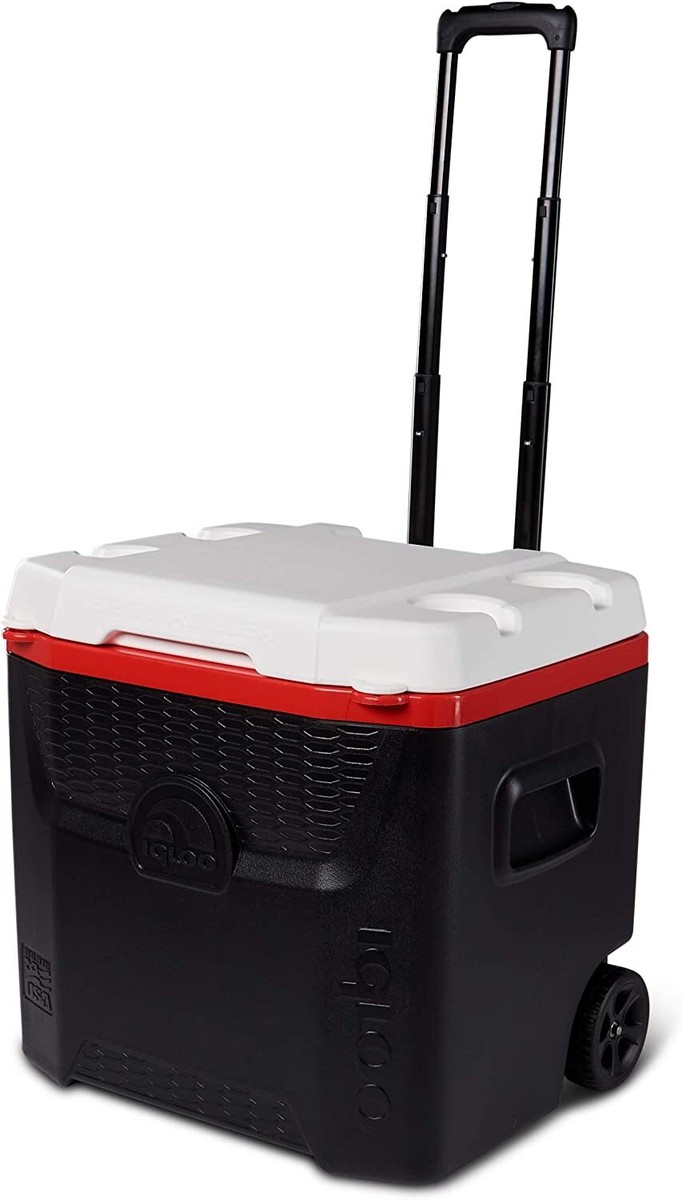 igloo quantum 28 roller
