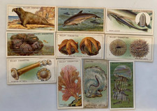 WILLS CIGARETTE CARDS: 11x WONDERS OF THE SEA CARDS