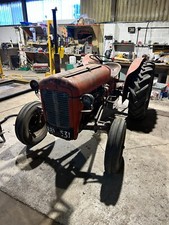 Massey Ferguson 35 Gold belly 4 cylinder