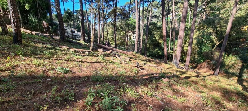 Terreno en venta en Avándaro, Valle de Bravo.