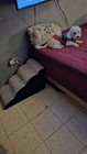 Foto 12 di 16