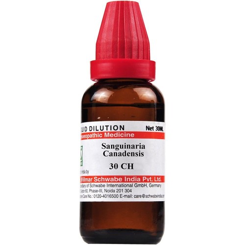 Dr. Willmar Schwabe Sanguinaria canadensis Dilution 30ml Choose Potency FS - Picture 5 of 7