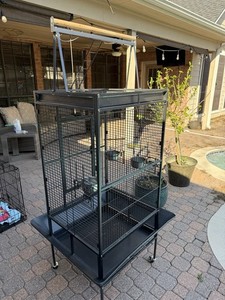 Bird Cage