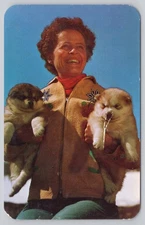 Vintage Toklat Lodge Alaskan Malamute Puppies Postcard, 1960s Color Photo